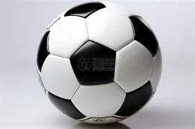 钟丽缇,岁千金喜获,温哥华华裔,巅峰国际,巅峰国际官网,巅峰国际H5官网