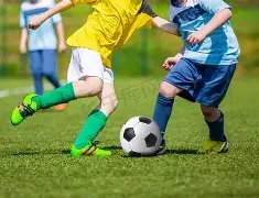 陈宥维花束,抛掷引热议,粉丝送花遭,巅峰国际,巅峰国际官网,巅峰国际H5官网