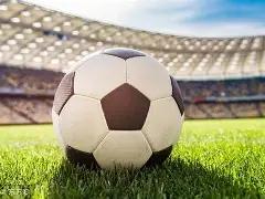 亚冬会媒体,中心今日迎,央视新闻,巅峰国际,巅峰国际官网,巅峰国际H5官网