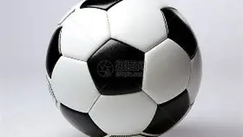 钟丽缇23岁千金喜获温哥华华裔小姐亚军殊荣