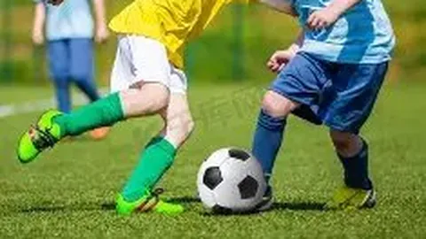 陈宥维花束抛掷引热议，粉丝送花遭遇争议风波